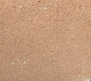 280-Desert-Rose-